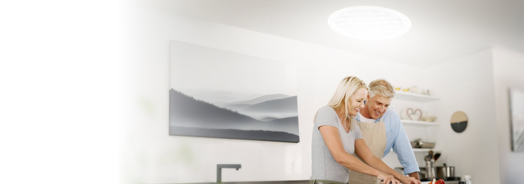 Photograph of a couple underneath a tubular skylight